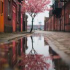 Creative Use of Reflections in Photography